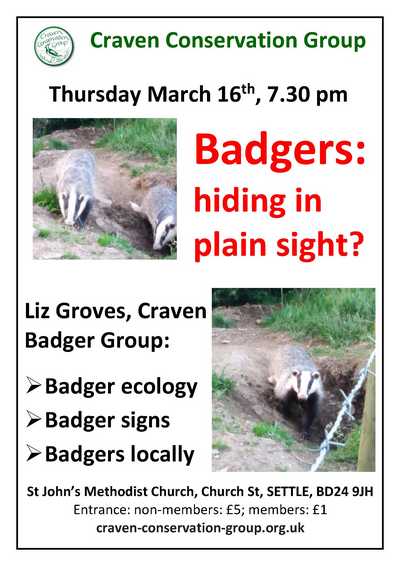 Badger Poster