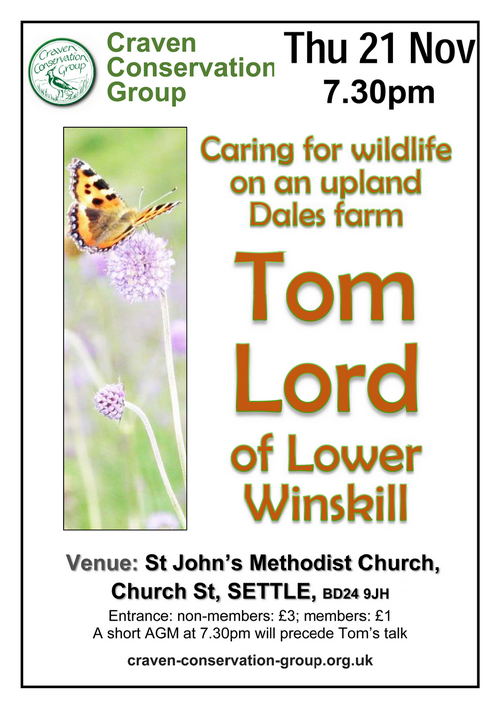 posterfor tom lords talk