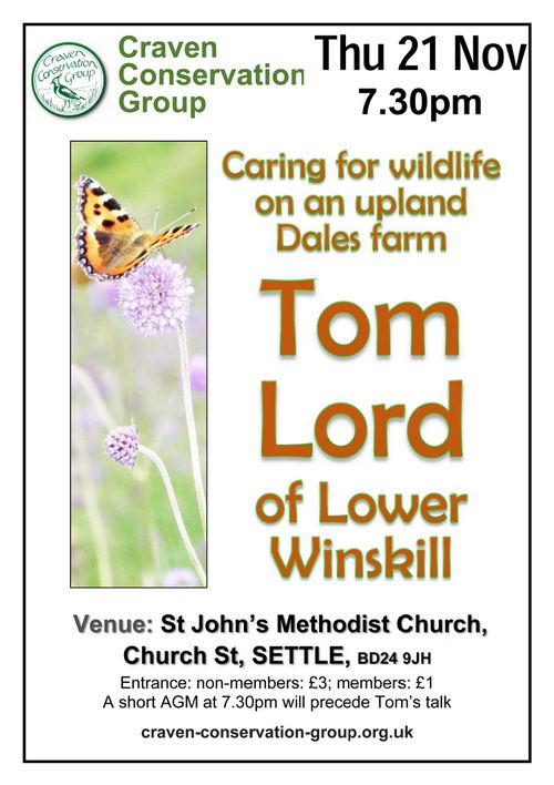 posterfor tom lords talk