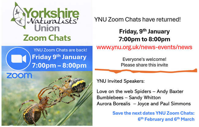 ynu-zoom-chat-poster