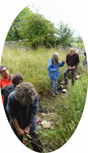 Westhouse Breccia Stream