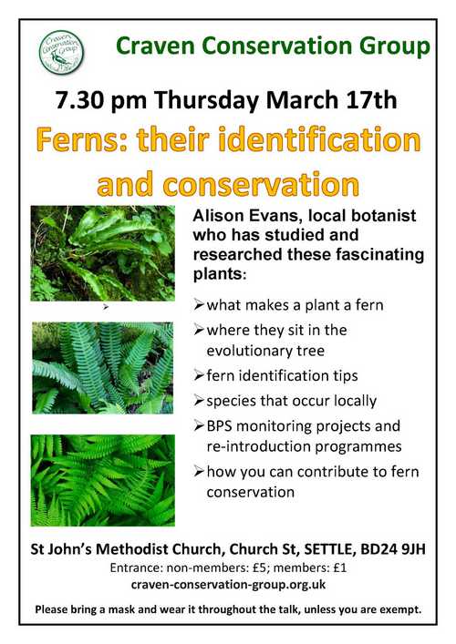 Poster for Ferns talk