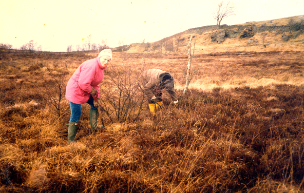 c1987-hesley-moss