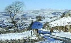 Winskill Stones Plantlife Nature Reserve in N Yorks- picture taken in December 2000