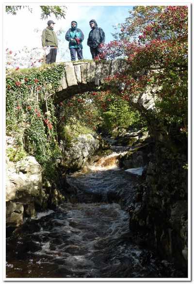 Packhorse bridge