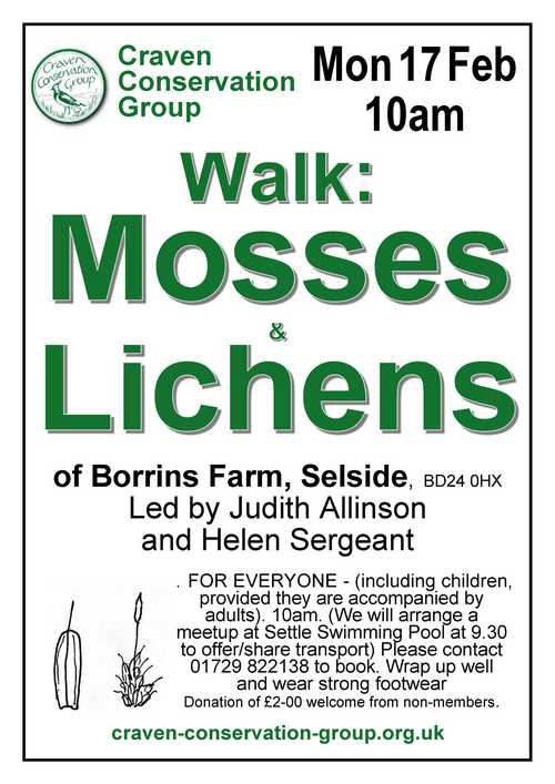 poster lichens and mosses