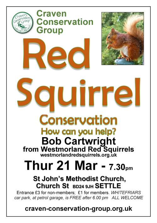 Red squirrel talk
