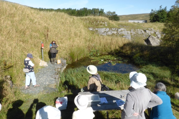 ccg ribblehead